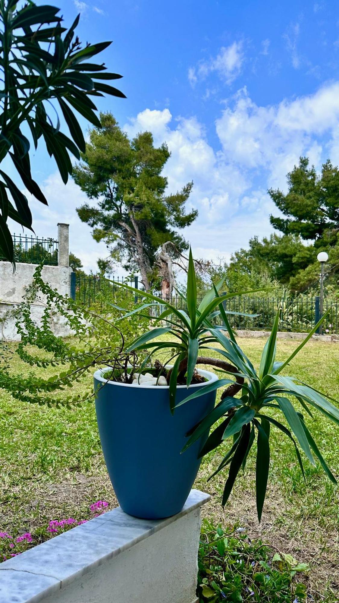 Apartmán Rita Sea View Kallithea  Exteriér fotografie